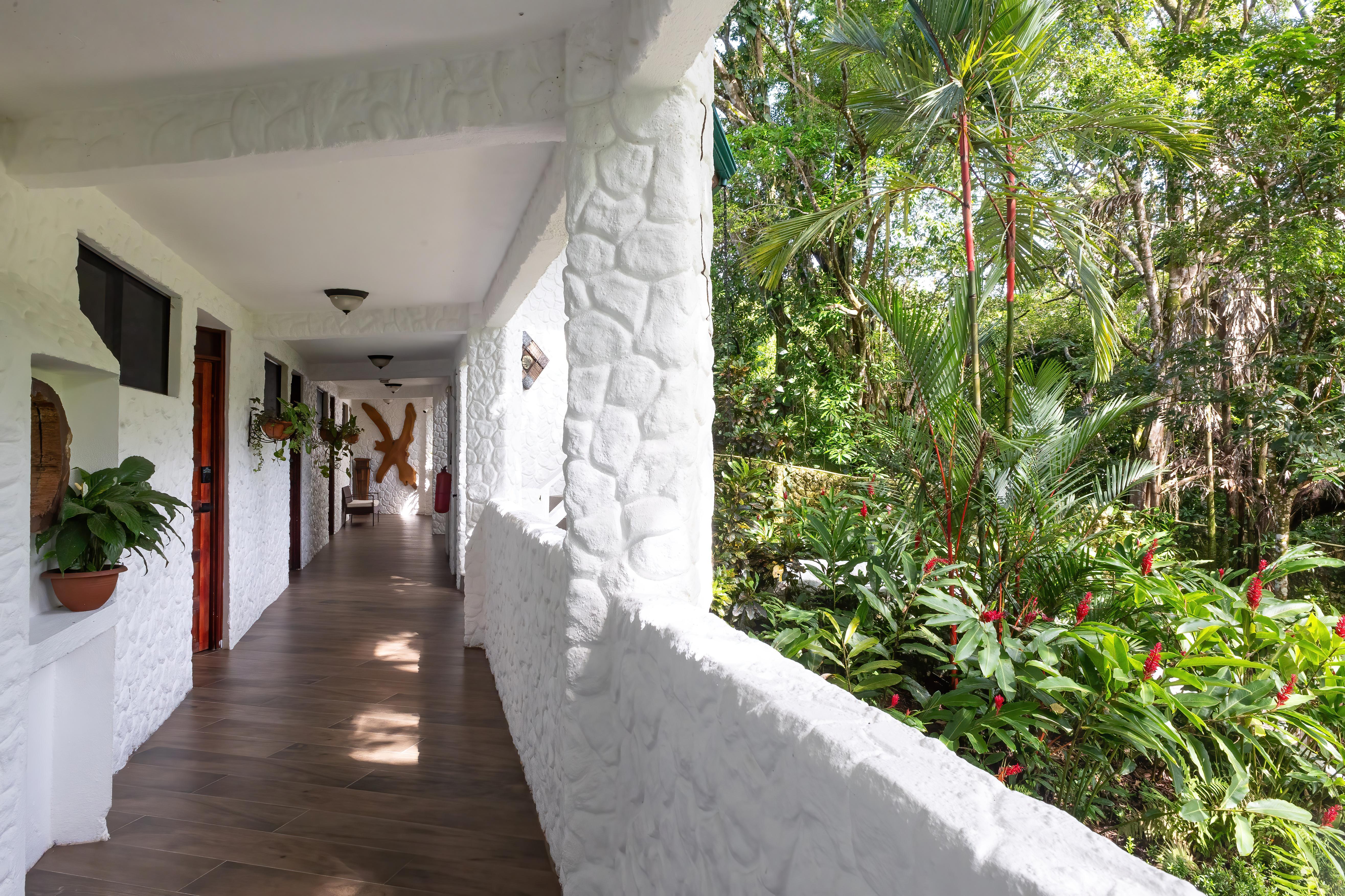 Ecotica Boutique Hotel (Adults Only) Manuel Antonio Εξωτερικό φωτογραφία