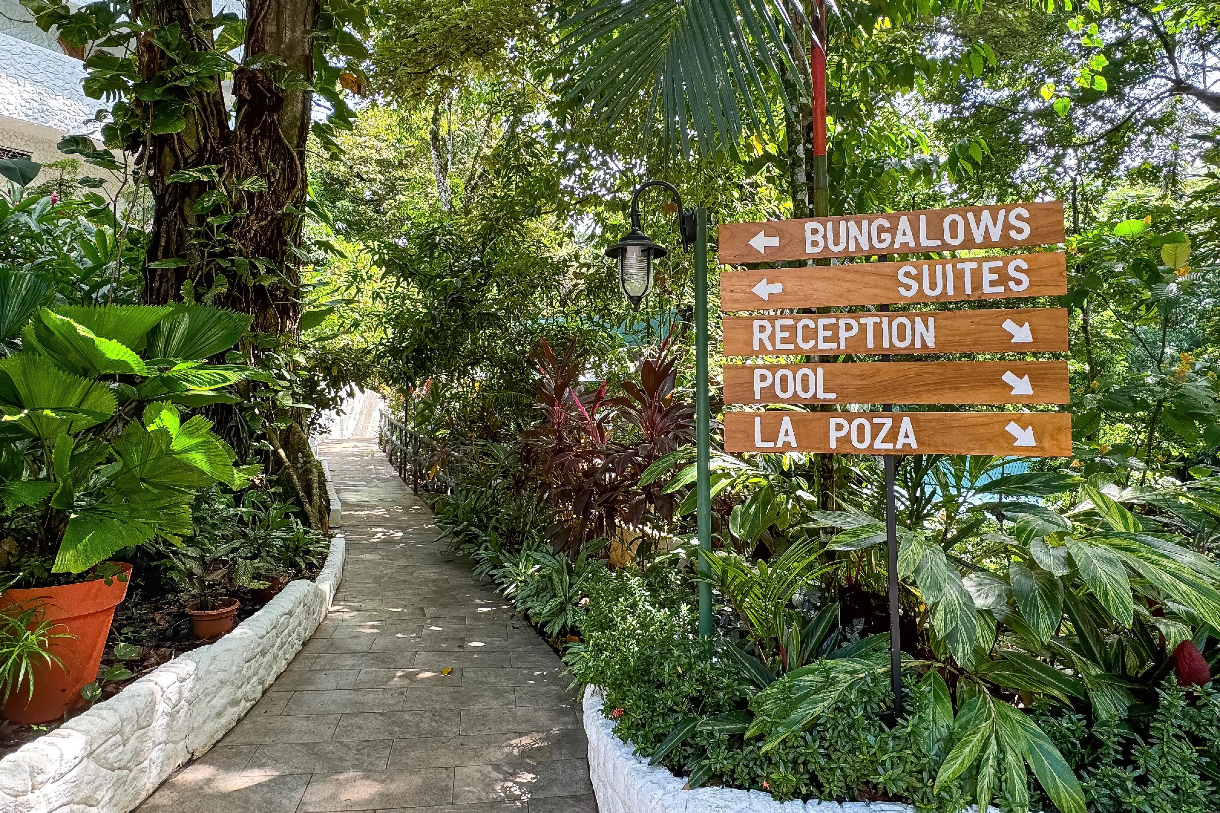 Ecotica Boutique Hotel (Adults Only) Manuel Antonio Εξωτερικό φωτογραφία